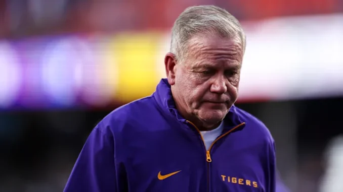 01jebhrzsh32ebef5954 (5)