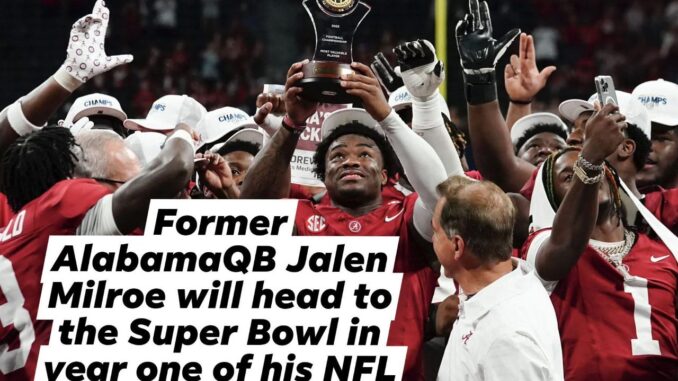 f9856a50-edd5-435f-a141-814f85424266