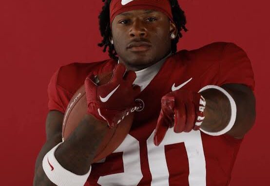 images - 2026-02-16T131409.070