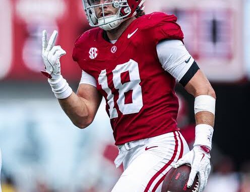 images - 2026-02-17T064252.431