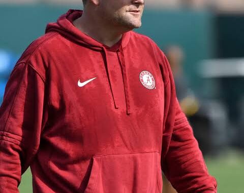 images - 2026-02-22T133553.206