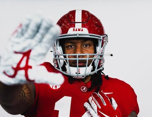 images - 2026-02-24T065834.686