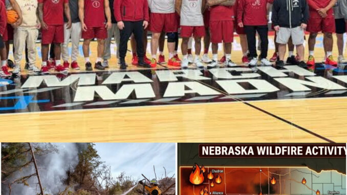 974B3035-657D-4834-9600-5683A8FF3A93