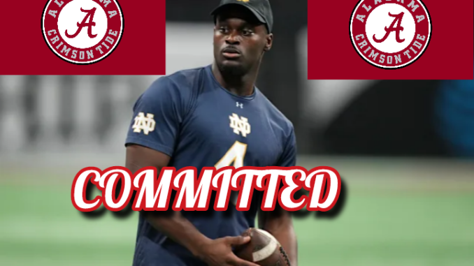 Polish_20260320_120817648