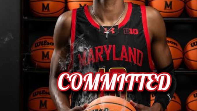 Polish_20260330_052953228