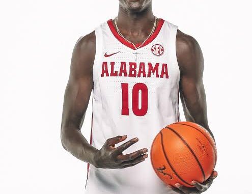 images - 2026-03-26T081241.943