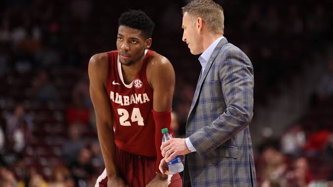 images - 2026-03-28T074852.247