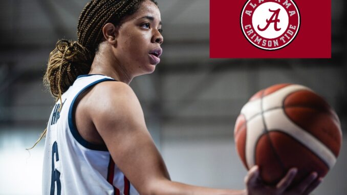 Polish_20260408_073842785