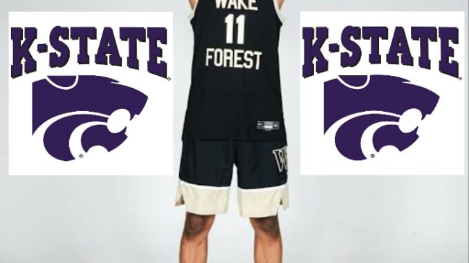 Polish_20260411_055752293