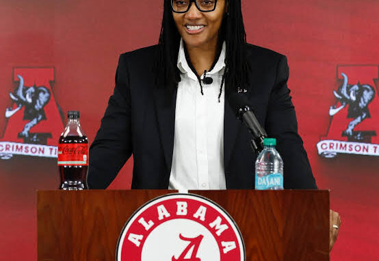 images - 2026-04-07T055747.563