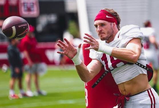 images - 2026-04-10T103707.249